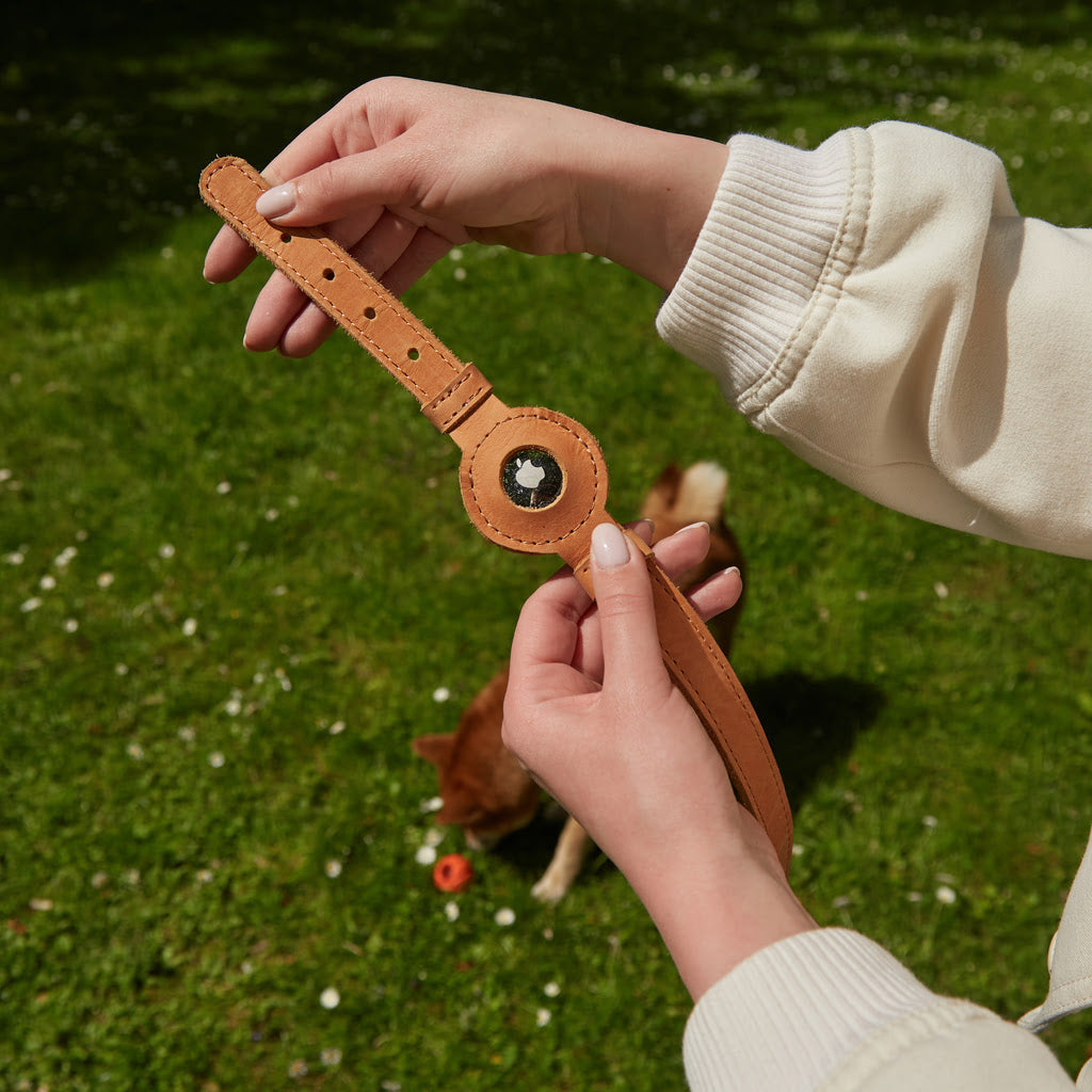 Tiny Air Collar leather collar for puppies, small and medium dogs
