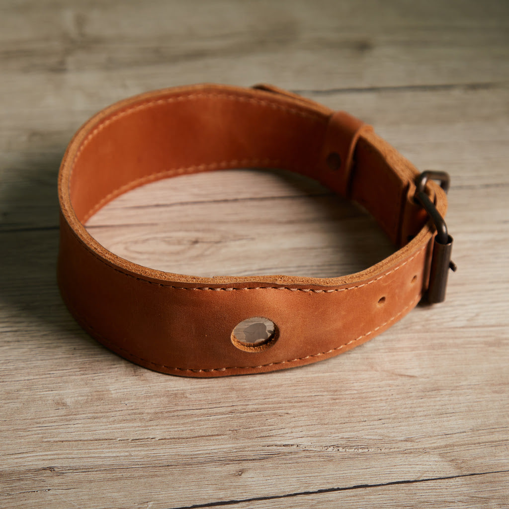 Guler din piele Air Collar pentru rase medii de câini cu suport AirTag
