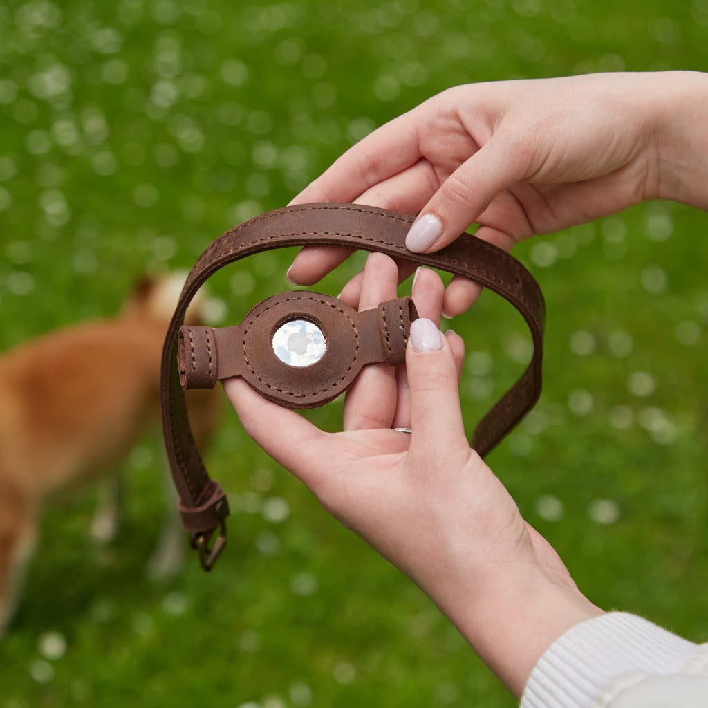 Tiny Air Collar leather collar for puppies, small and medium dogs