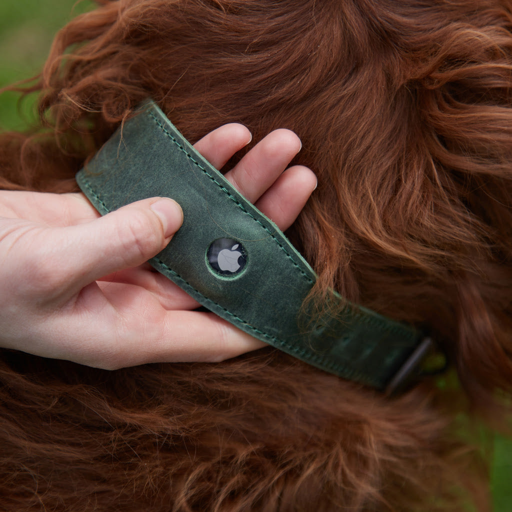 Guler din piele Air Collar pentru rase medii de câini cu suport AirTag