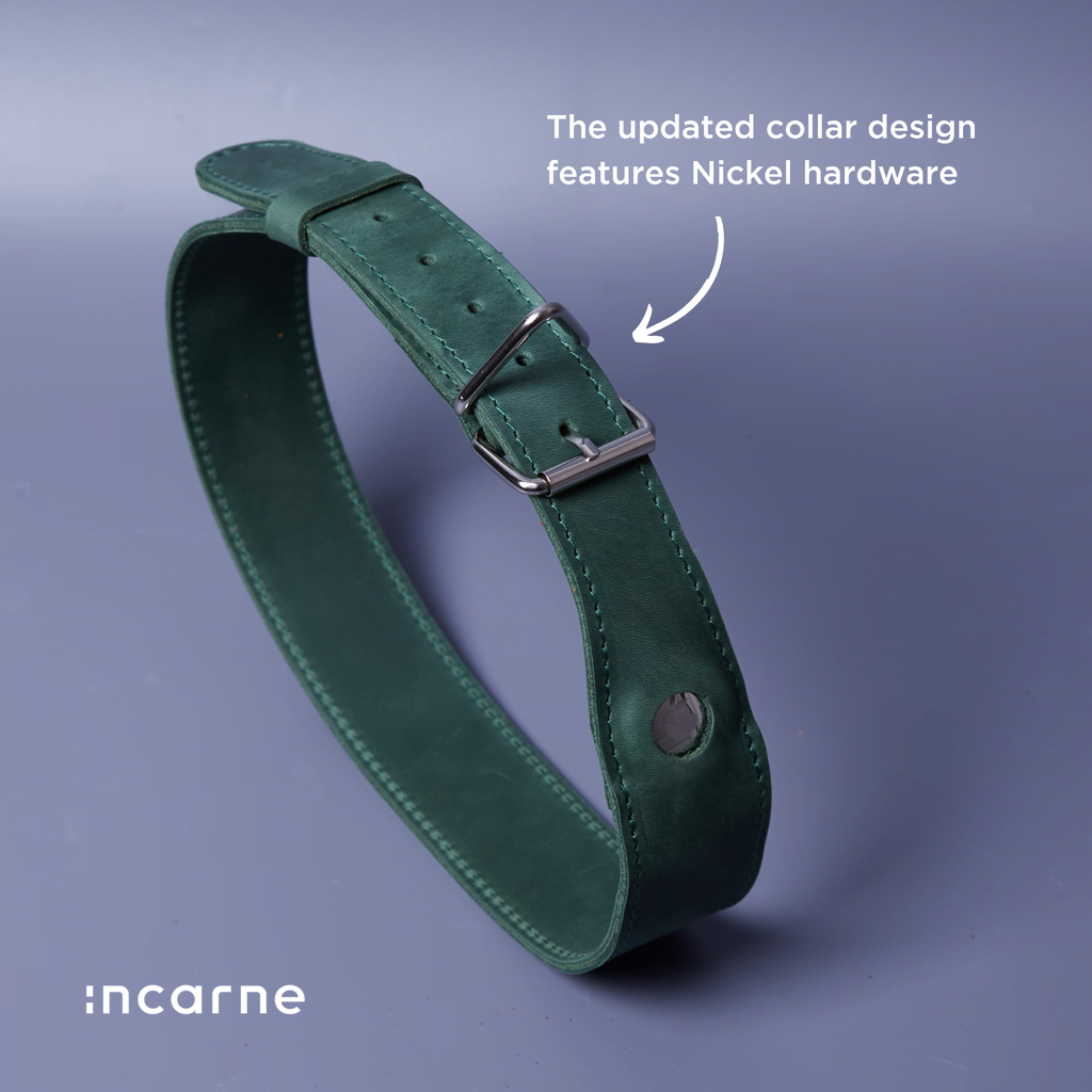Guler din piele Air Collar pentru rase medii de câini cu suport AirTag