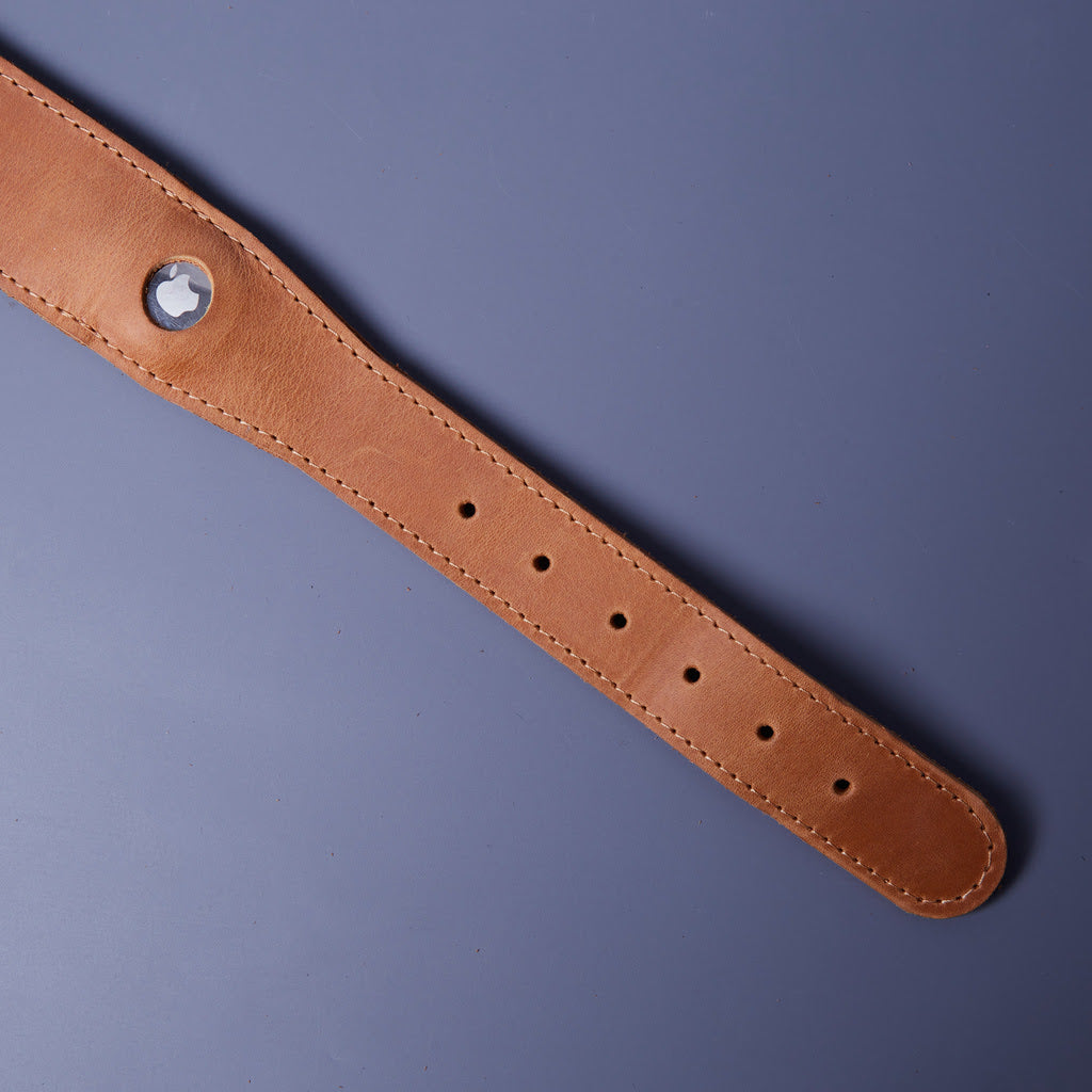 Guler din piele Air Collar pentru rase medii de câini cu suport AirTag