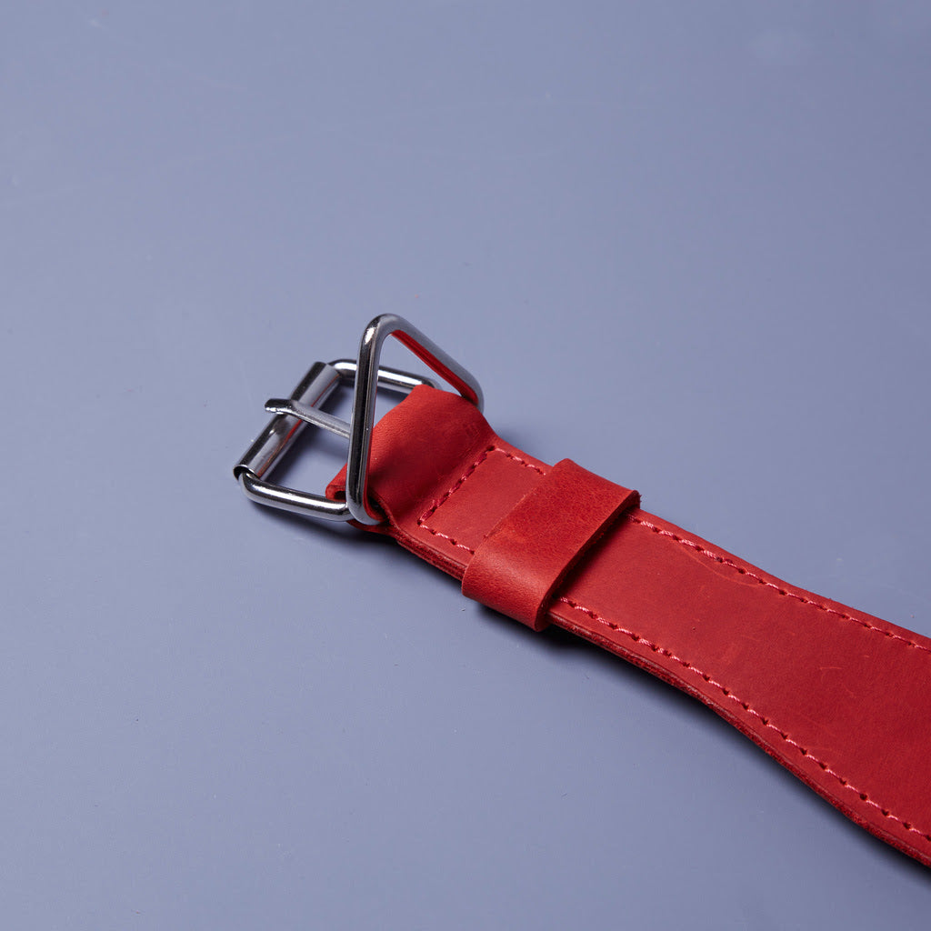 Guler din piele Air Collar pentru rase medii de câini cu suport AirTag