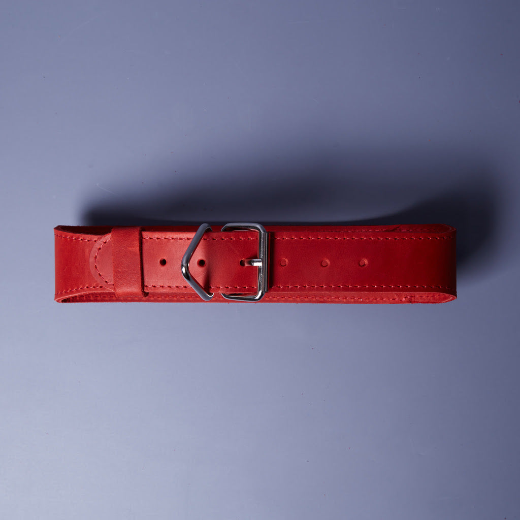 Guler din piele Air Collar pentru rase medii de câini cu suport AirTag