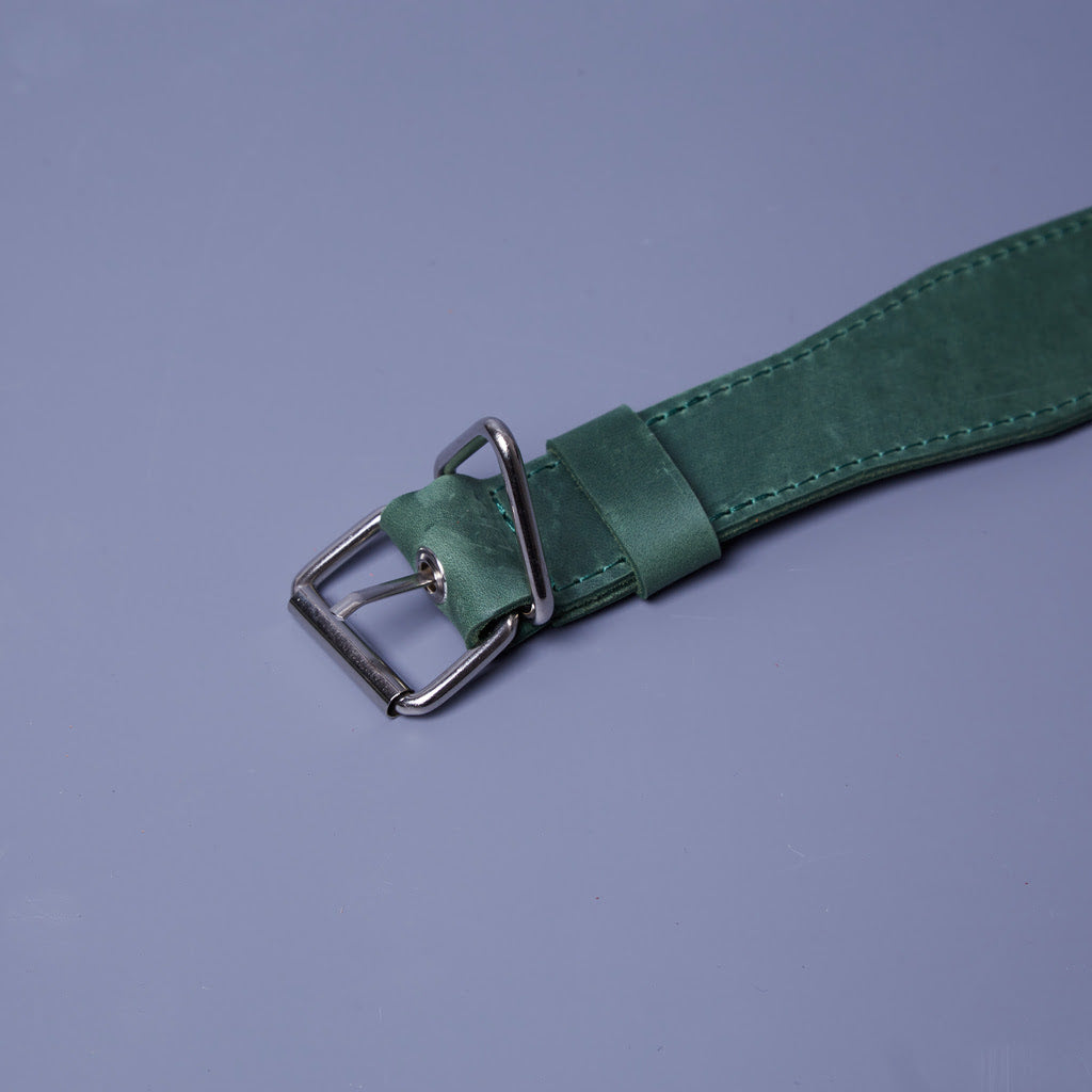 Guler din piele Air Collar pentru rase medii de câini cu suport AirTag