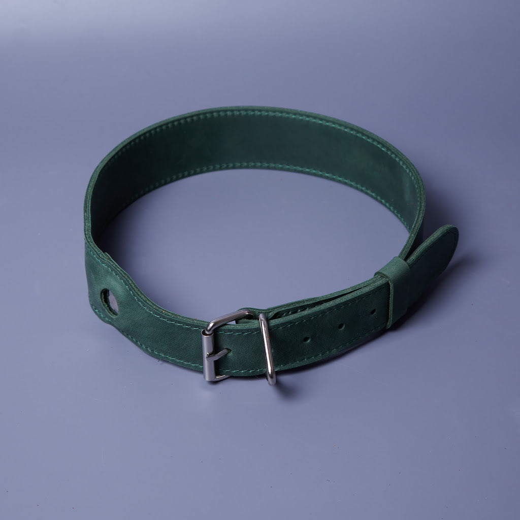 Guler din piele Air Collar pentru rase medii de câini cu suport AirTag