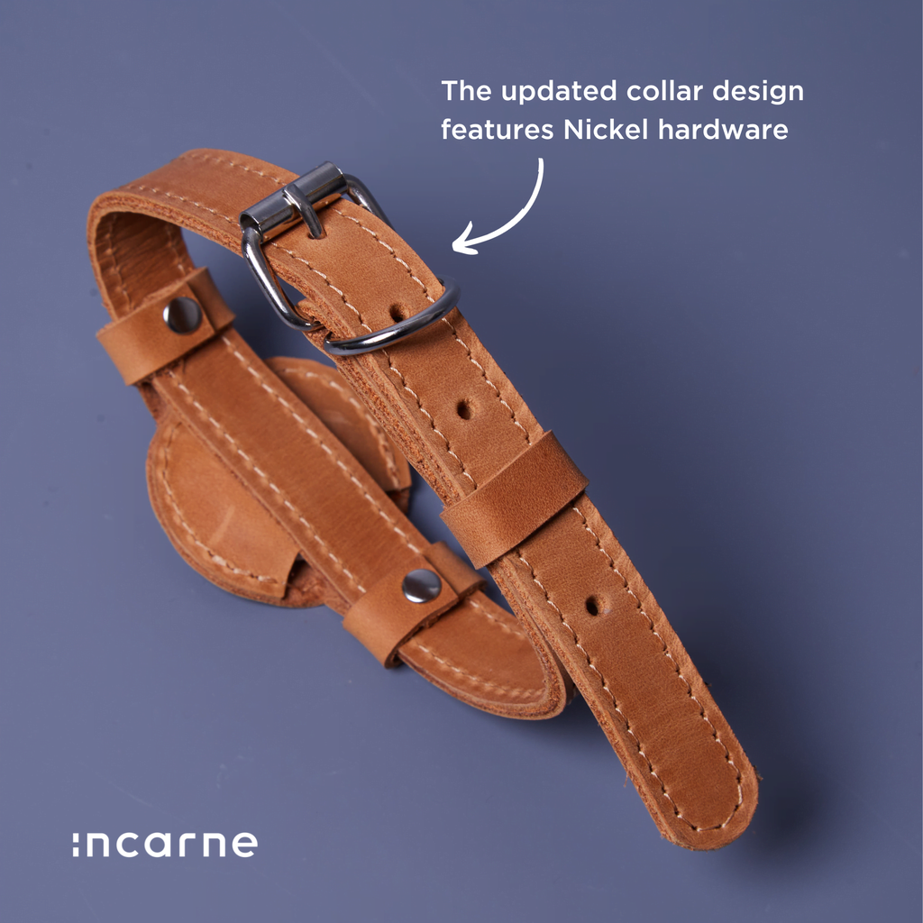 Tiny Air Collar leather collar for puppies, small and medium dogs