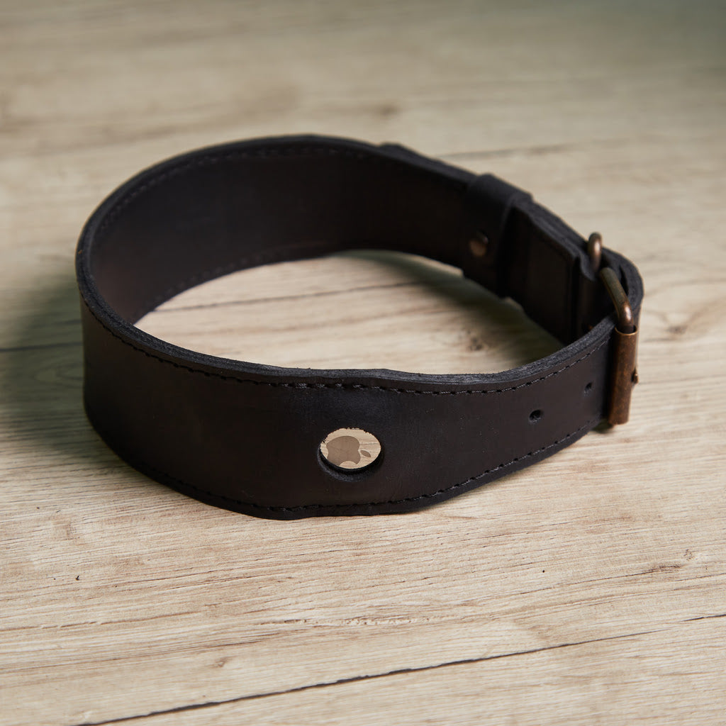 Guler din piele Air Collar pentru rase medii de câini cu suport AirTag