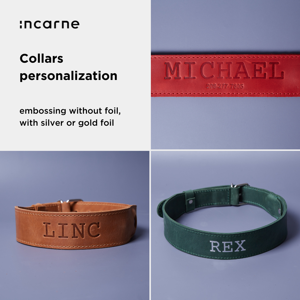 Guler din piele Air Collar pentru rase medii de câini cu suport AirTag