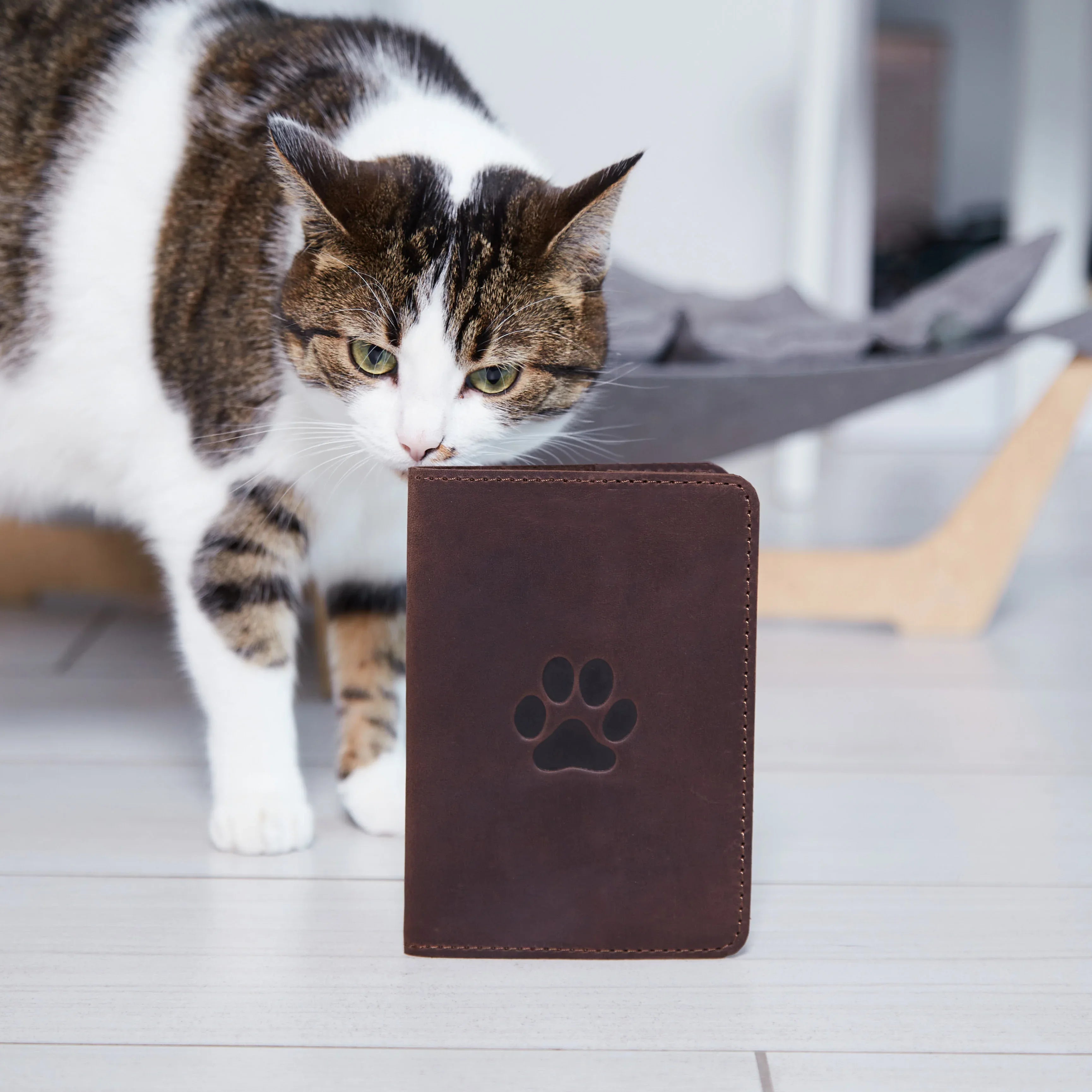 Paw vet passport cover - INCARNE® Ukraine