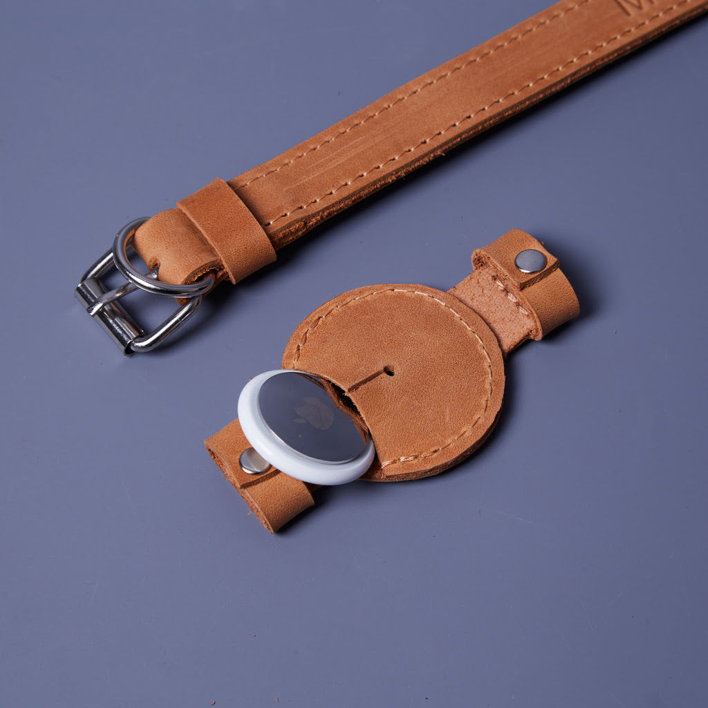 Tiny Air Collar leather collar for puppies, small and medium dogs