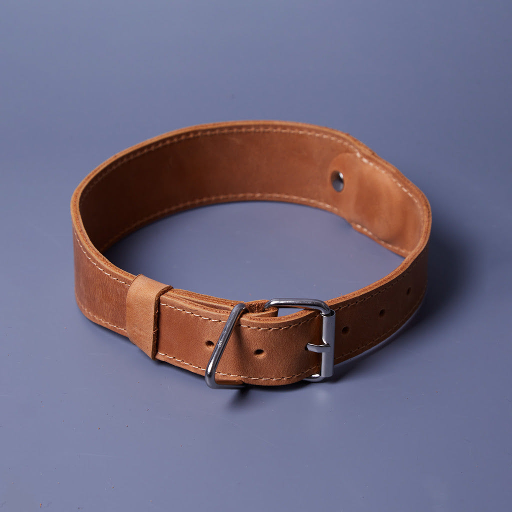 Guler din piele Air Collar pentru rase medii de câini cu suport AirTag