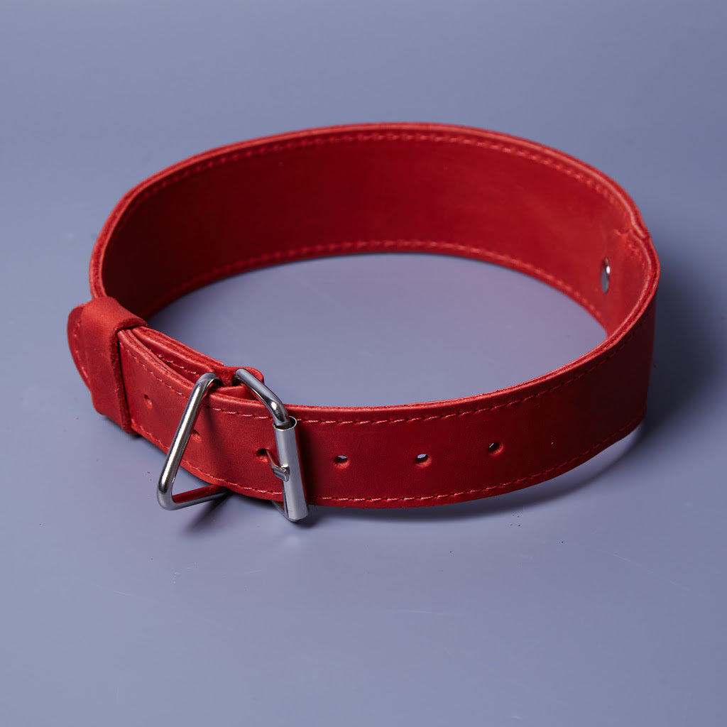 Guler din piele Air Collar pentru rase medii de câini cu suport AirTag